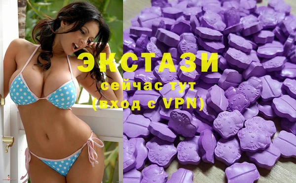 ECSTASY Богородицк